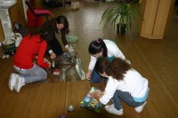 /album/tombola-28-10-2009/img-0227-jpg/