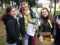 /album/den-narcisov/nar3-jpg/